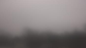 Weather camera view of Lincoln Elementary School.