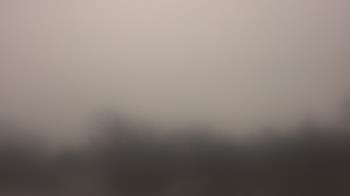 Weather camera view of Lincoln Elementary School.