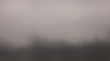 Weather camera view of Lincoln Elementary School.