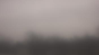 Weather camera view of Lincoln Elementary School.