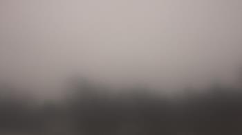 Weather camera view of Lincoln Elementary School.