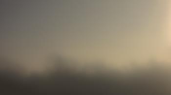 Weather camera view of Lincoln Elementary School.