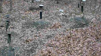 Weather camera view of Cincinnati Nature Center.
