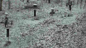 Weather camera view of Cincinnati Nature Center.