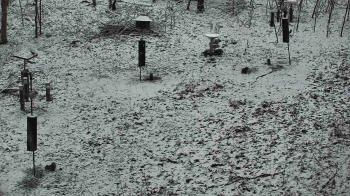 Weather camera view of Cincinnati Nature Center.