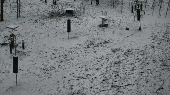 Weather camera view of Cincinnati Nature Center.