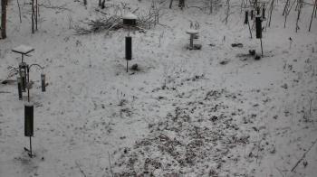 Weather camera view of Cincinnati Nature Center.