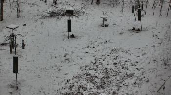 Weather camera view of Cincinnati Nature Center.