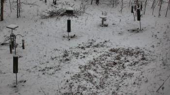 Weather camera view of Cincinnati Nature Center.