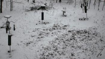 Weather camera view of Cincinnati Nature Center.