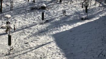 Weather camera view of Cincinnati Nature Center.