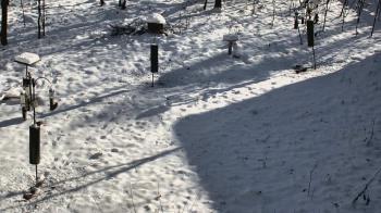 Weather camera view of Cincinnati Nature Center.