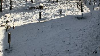 Weather camera view of Cincinnati Nature Center.