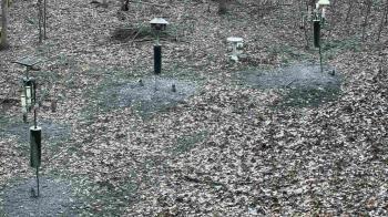 Weather camera view of Cincinnati Nature Center.