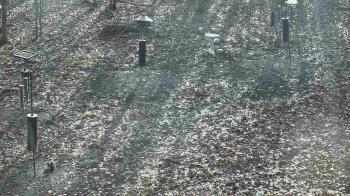 Weather camera view of Cincinnati Nature Center.