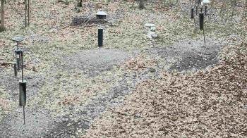 Weather camera view of Cincinnati Nature Center.