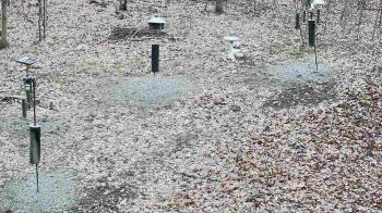 Weather camera view of Cincinnati Nature Center.