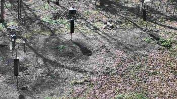 Weather camera view of Cincinnati Nature Center.