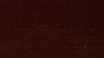 Weather camera view of Beach Patrol HQ.