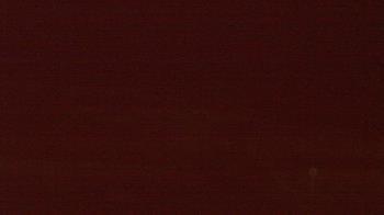 Weather camera view of Beach Patrol HQ.