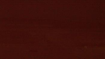 Weather camera view of Beach Patrol HQ.