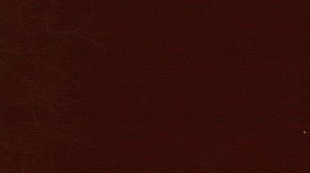 Weather camera view of Farmersville School.