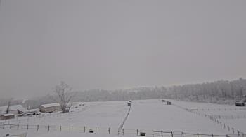 Weather camera view of Orchard Hill.