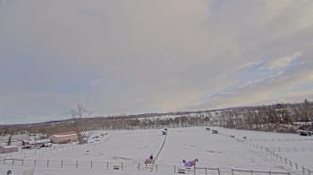 Weather camera view of Orchard Hill.
