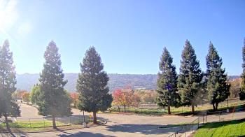 Weather camera view of Pleasanton MS.