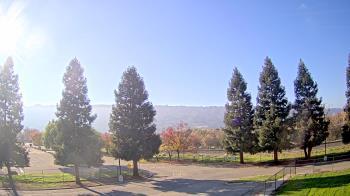 Weather camera view of Pleasanton MS.