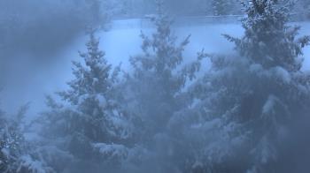 Weather camera view of Stuart Country Day School.