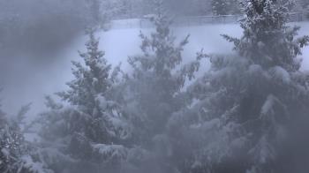 Weather camera view of Stuart Country Day School.