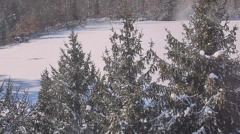 Weather camera view of Stuart Country Day School.