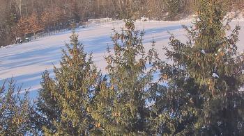 Weather camera view of Stuart Country Day School.