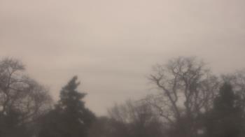 Weather camera view of Saint Peter School.