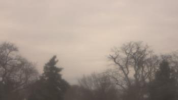Weather camera view of Saint Peter School.