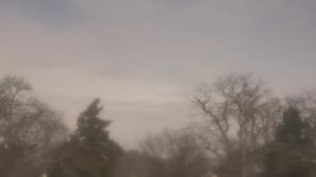 Weather camera view of Saint Peter School.