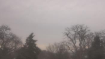 Weather camera view of Saint Peter School.