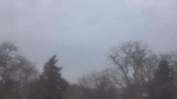 Weather camera view of Saint Peter School.