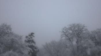 Weather camera view of Saint Peter School.