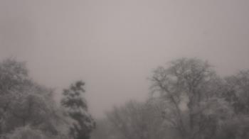 Weather camera view of Saint Peter School.