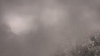 Weather camera view of Saint Peter School.