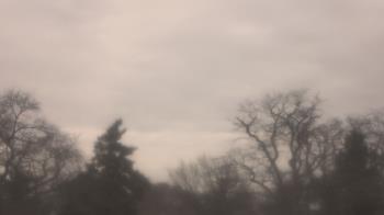 Weather camera view of Saint Peter School.