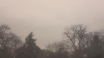 Weather camera view of Saint Peter School.