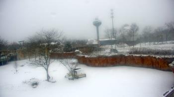 Weather camera view of Columbus Zoo and Aquarium.
