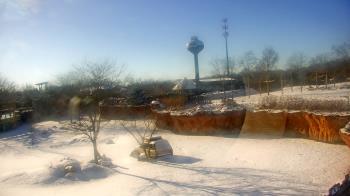 Weather camera view of Columbus Zoo and Aquarium.