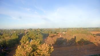 Weather camera view of Schnepf Farms.