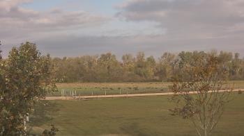 Weather camera view of Long Acres Ranch.