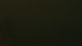 Weather camera view of Long Acres Ranch.