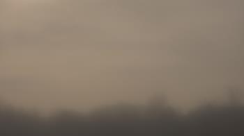 Weather camera view of Winston School.